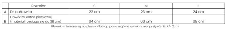 Zrzut ekranu 2026-02-05 181700.png