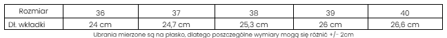 Zrzut ekranu 2026-06-04 115845.png